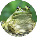 Gabrielle (Gabby) profile picture